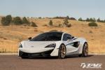 McLaren 570S by TAG Motorsports on HRE Wheels (P204) 2016 года